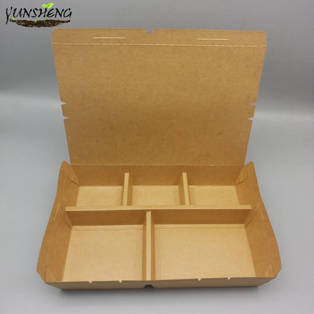 Biodegradable Food Container with Dividers and Lid Wholesale