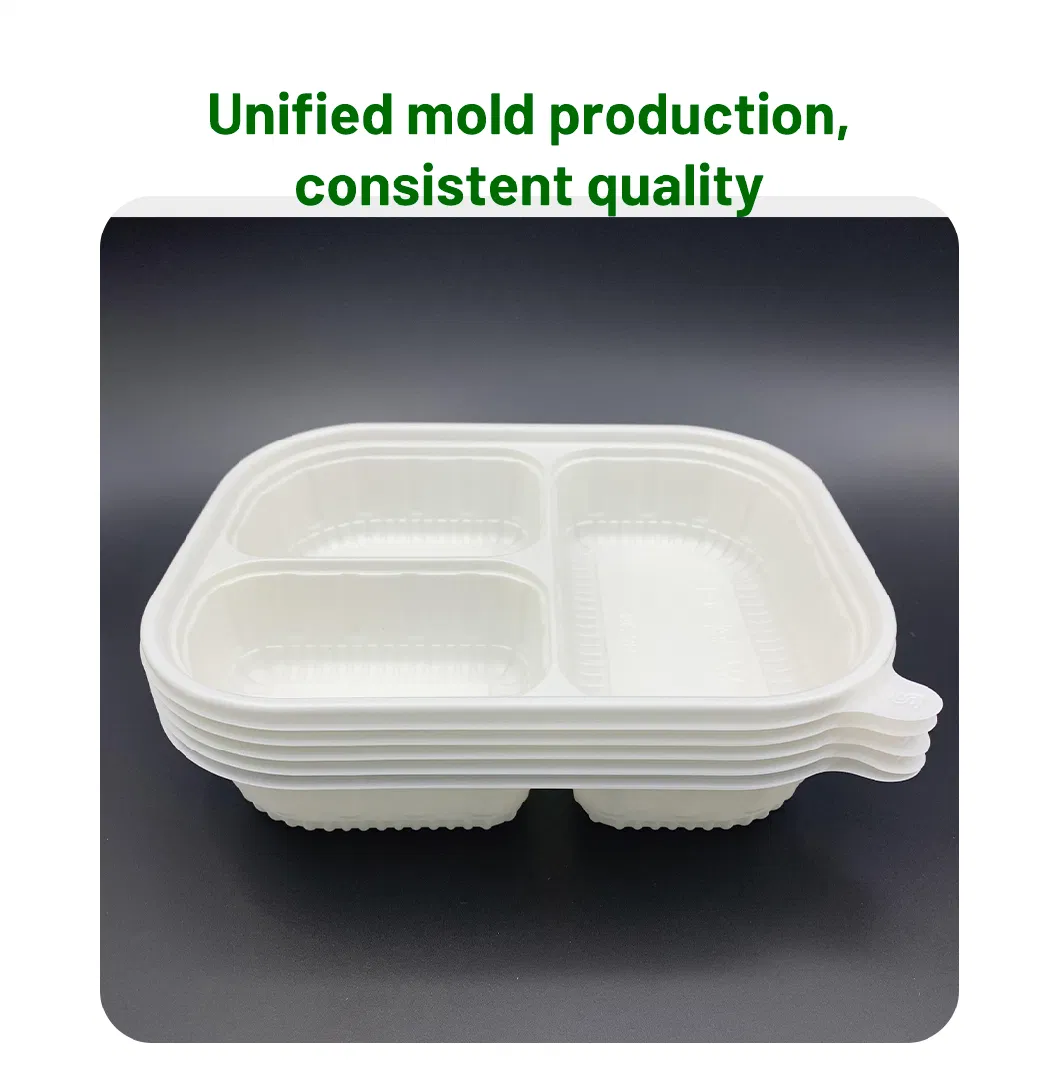 New for Sale Biodegradable Disposable Food Container Lunch Tableware Dinner Eco-Plaith Lisstic Packaging Box