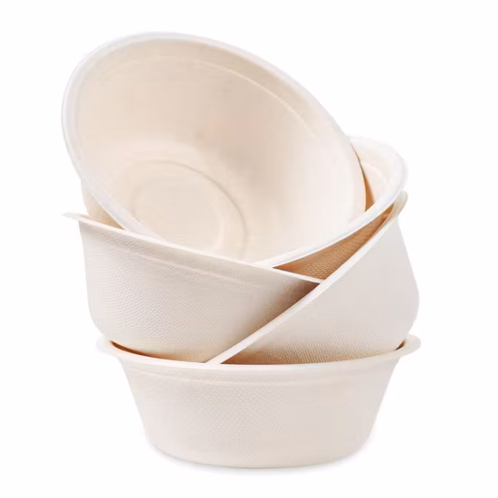 Bol à soupe en pâte biodégradable en papier compostable fait de bols en bagasse naturelle et en canne à sucre
