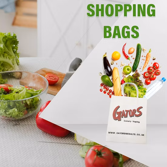 Sac à provisions avec poignée, sac cadeau biodégradable