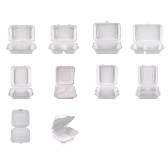 Conteneur d'emballage alimentaire biodégradable Conteneur de canne à sucre