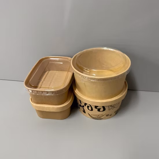 FDA/EU Feee échantillon rond/rectangle/boîte alimentaire carrée bol en papier à salade biodégradable