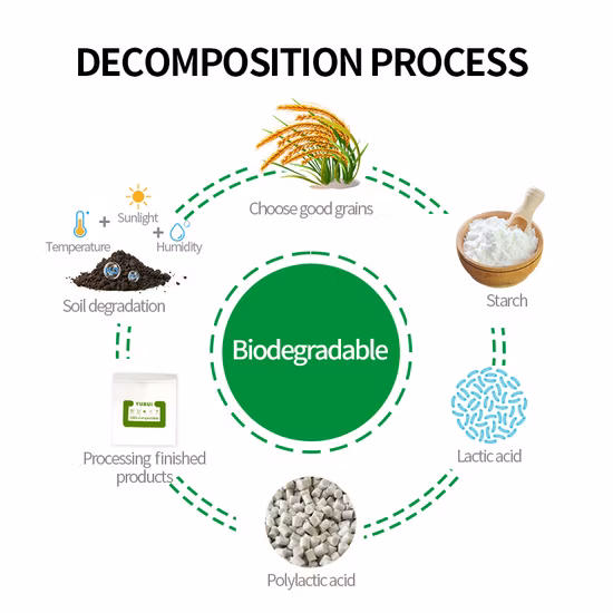 Amidon de maïs compostable Pbat/PLA imprimé T